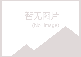 防城港夏彤能源有限公司